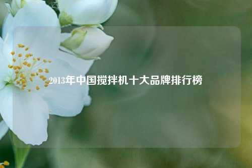 2013年中国搅拌机十大品牌排行榜