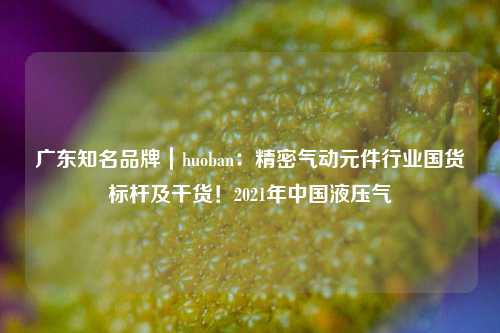 广东知名品牌｜huoban：精密气动元件行业国货标杆及干货！2021年中国液压气